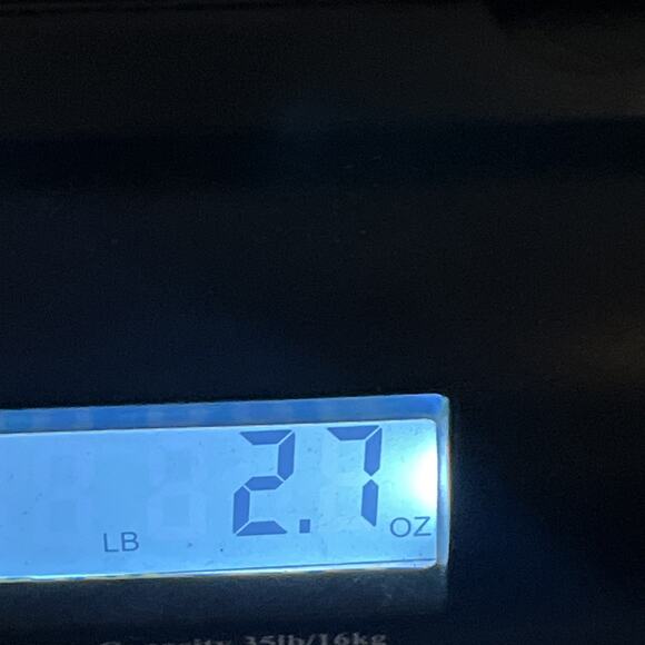 Kewpie Boy in Suit & Girl Wearing Flower Crown Porcelain Bisque, Shackman Japan - Picture 13 of 13